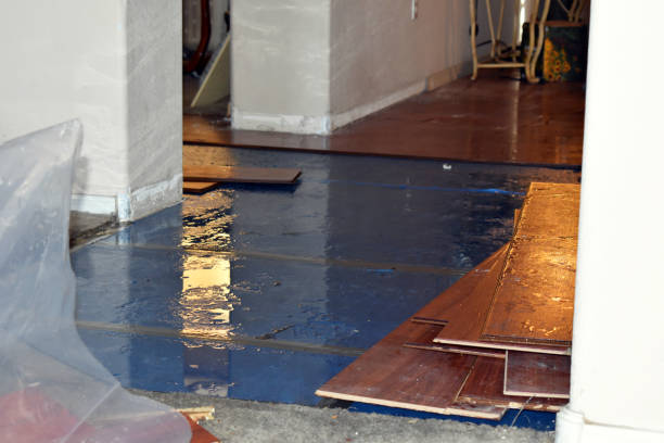 Professional Emergency Water Damage Restoration technician working in Sanbornton, NH